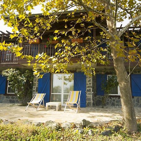 Art Provence House Villa Lozenets Exteriör bild