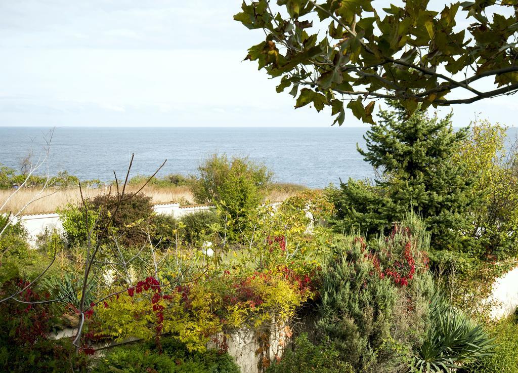 Art Provence House Villa Lozenets Exteriör bild